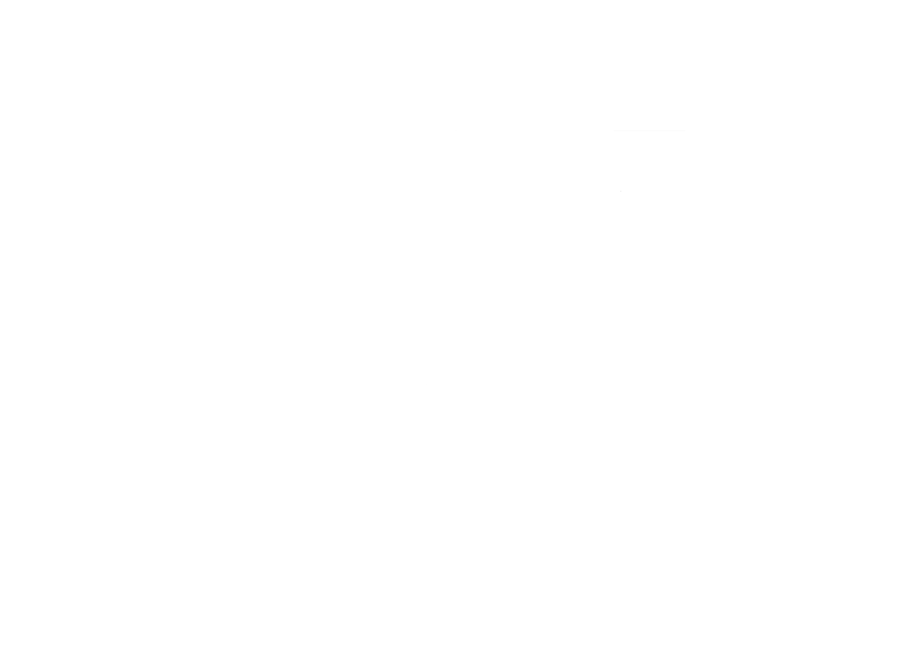 icon zaliantwheels blanc